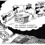 Bed Zuma Zapiro